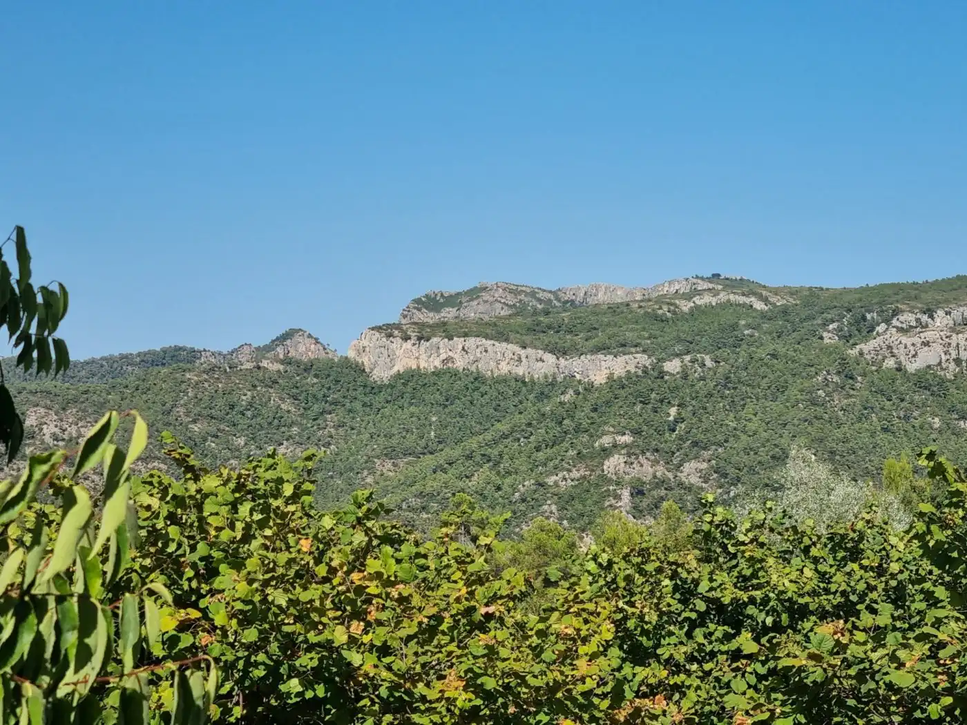 Terrain rustique à vendre à Tivissa, imagen 13