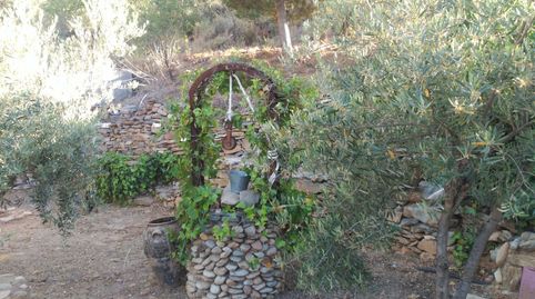 VENTA DE FINCA DE 115 HECTÁREAS CON CORTIJO EN BENIZALÓN, immagine 5