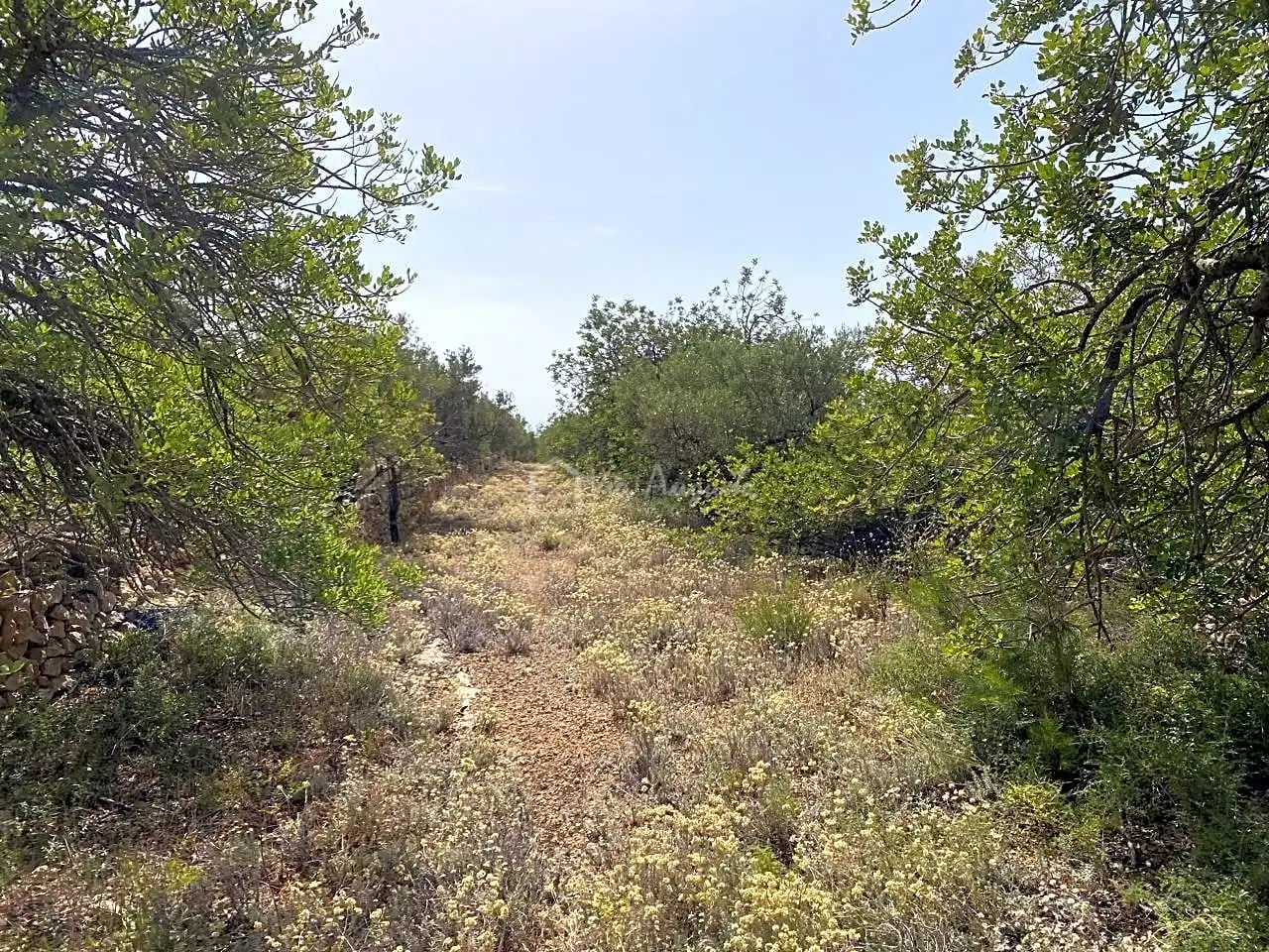 Terreno rustico in vendita a Partida Comartins, imagen 6
