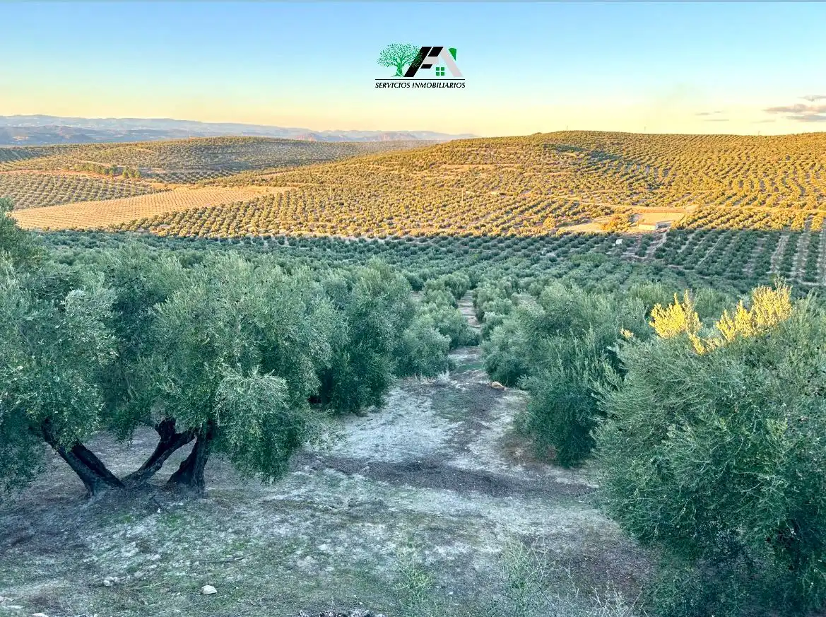 Terreno en venta en Ibros