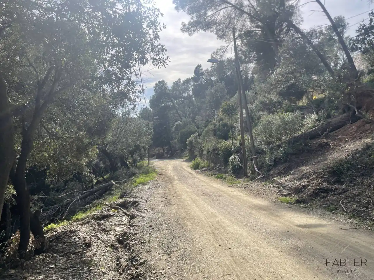 Rural land for sale in Avenida Modolell, imagen 14