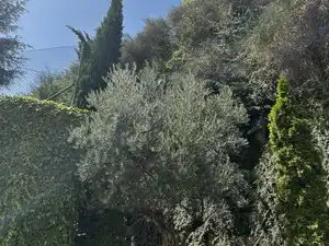 Garden of Flat for rent in Madrid  with Air Conditioner, Heating and Parquet flooring