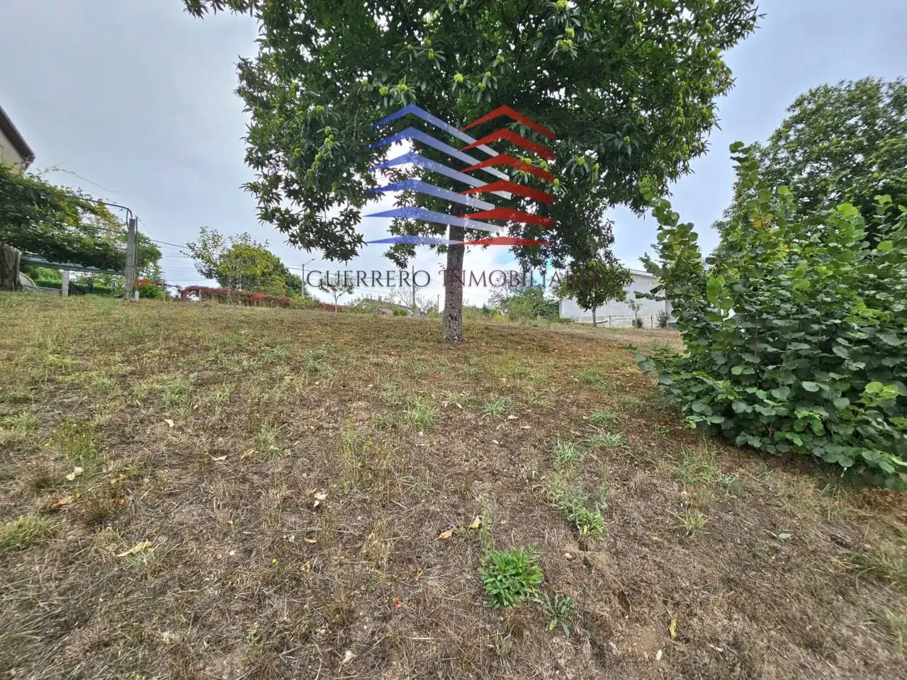 Casa o xalet en venda en Celanova amb Jardí privat i Terrassa
