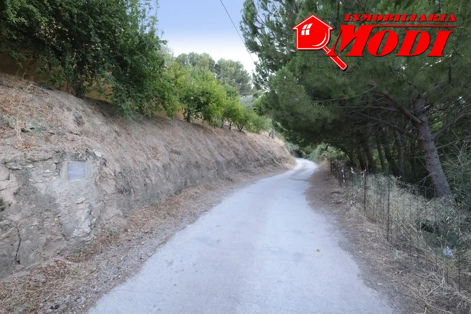 Vista exterior de Finca rústica en venta en Villamena con Jardín privado y Terraza