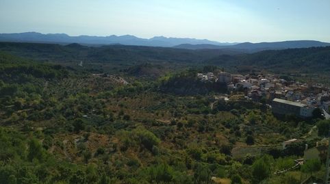 Imatge 2 de l'anunci