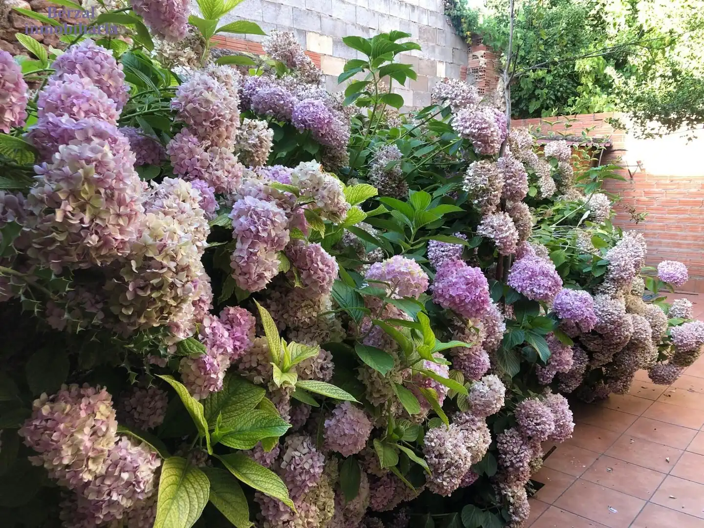 Jardí de Casa o xalet en venda en Baños de Río Tobía amb Traster, Moblat i Balcó