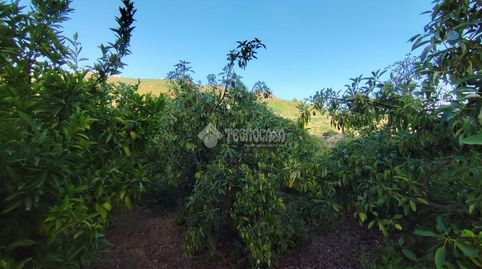 Terrenos en venta en Los guajares, imagen 5
