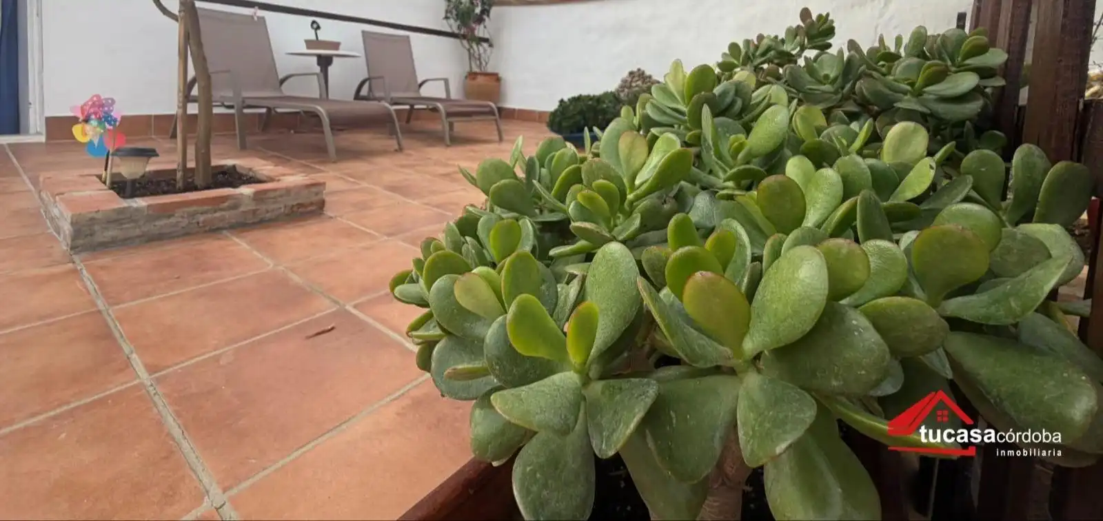 Casa amb piscina en venda a La Carlota, imagen 10