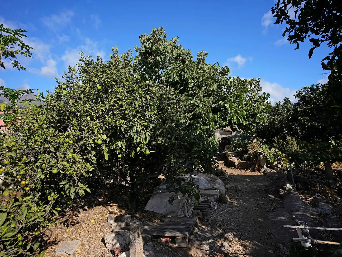 Terreno en venta en Arafo, Santa Cruz de Tenerife