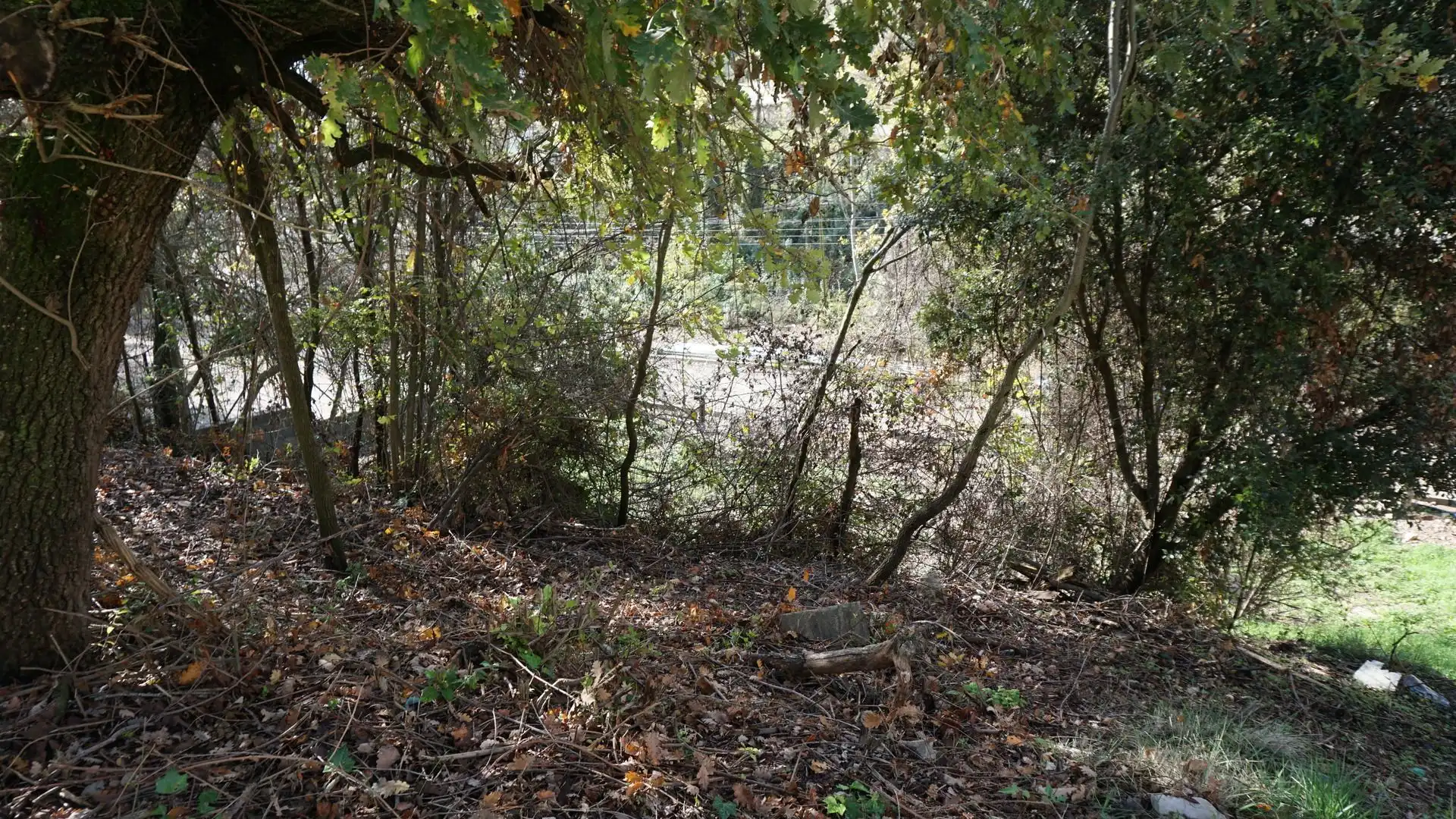 Grundstücke und Bauplätze zum Verkauf in Lluis Companys, imagen 16