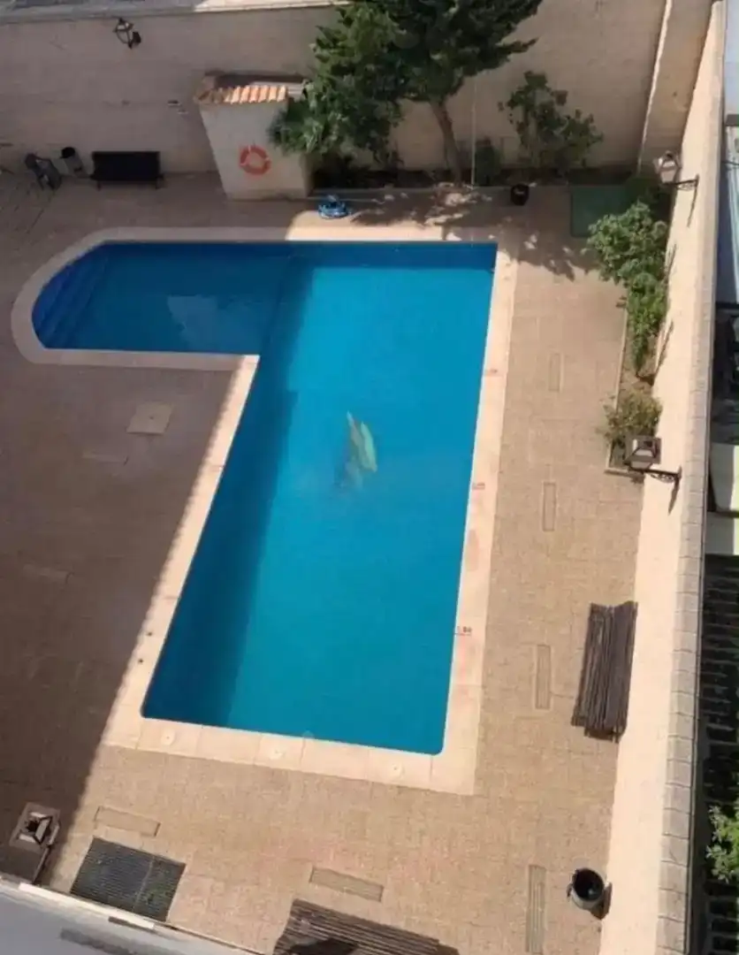 Schwimmbecken von Wohnung zur Miete in Miguel Esteban mit Klimaanlage, Privatgarten und Schwimmbad