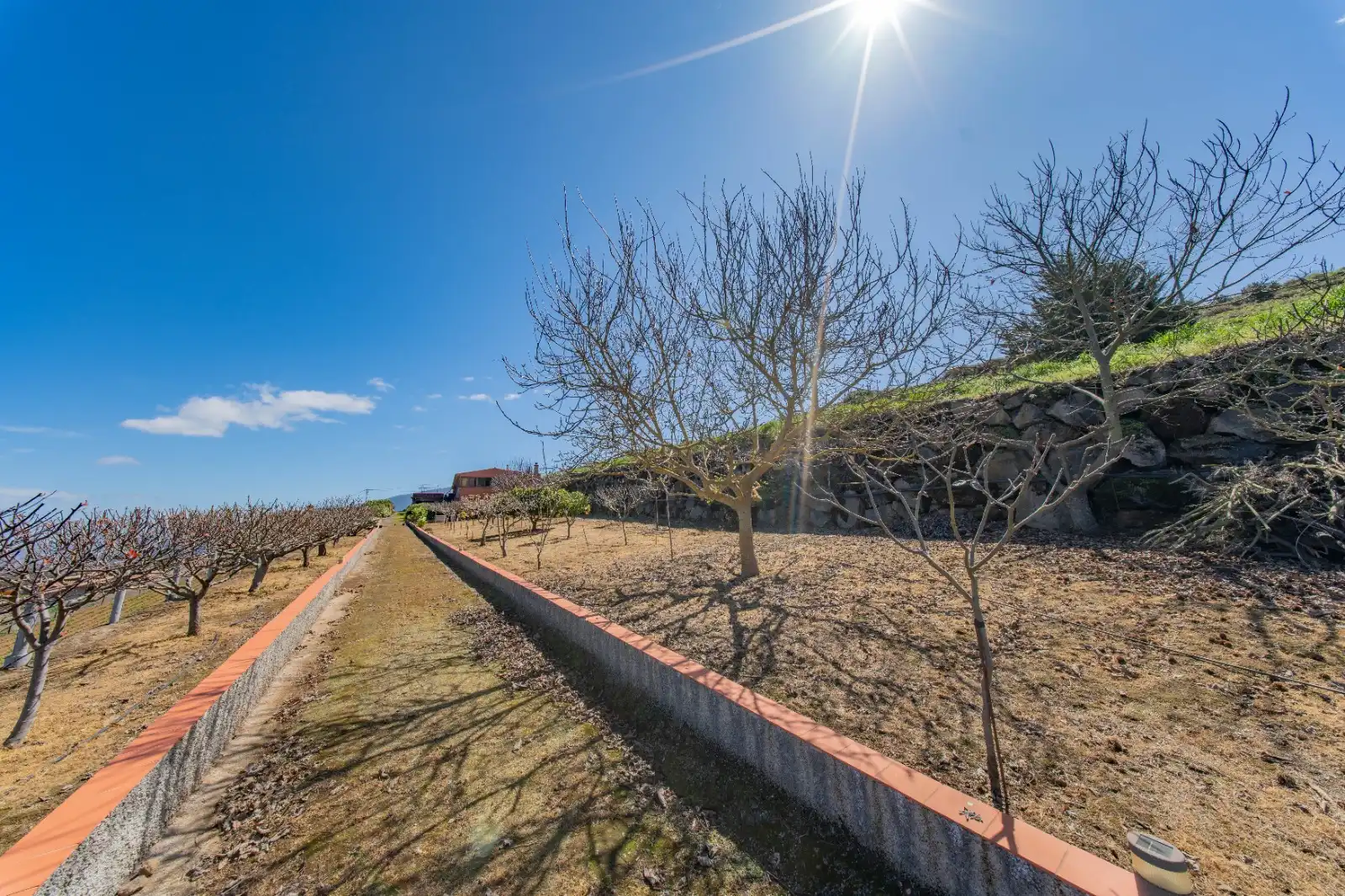 Casa o xalet en venda en La Guancha amb Jardí privat, Terrassa i Traster