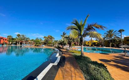 Swimming pool of Apartment for sale in La Oliva  with Community pool