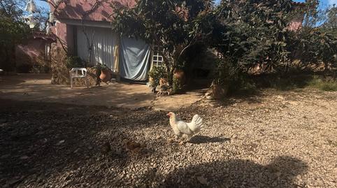 Foto 4 de Casa o xalet en venda a La Torre d'en Besora, Castellón