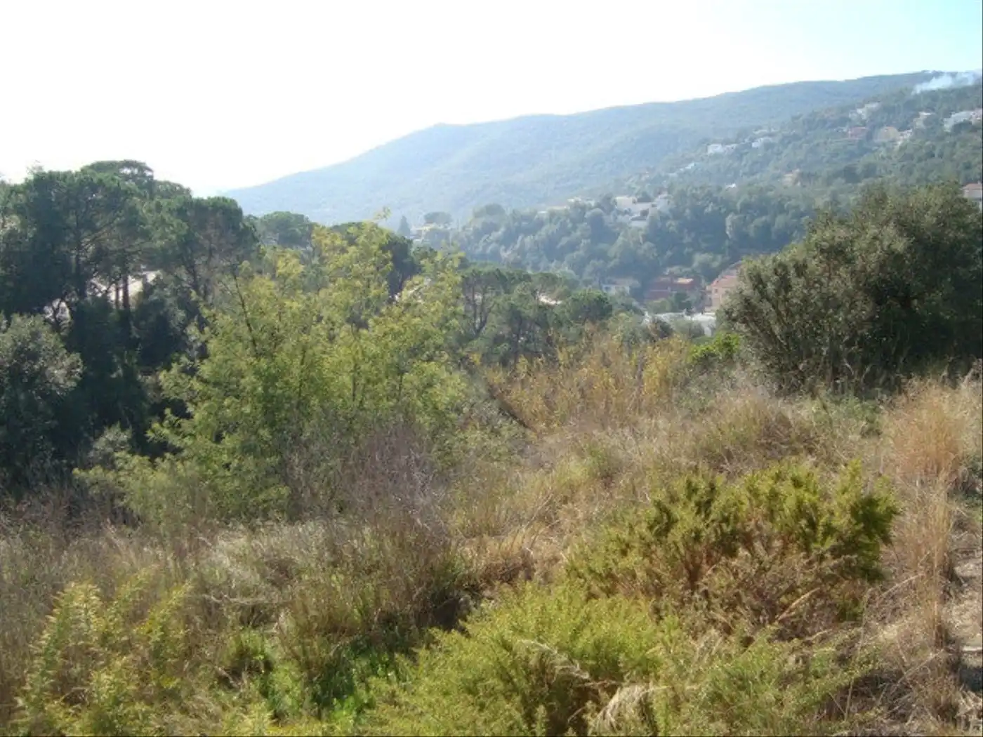 Terreno residencial en venta en Poble, imagen 2