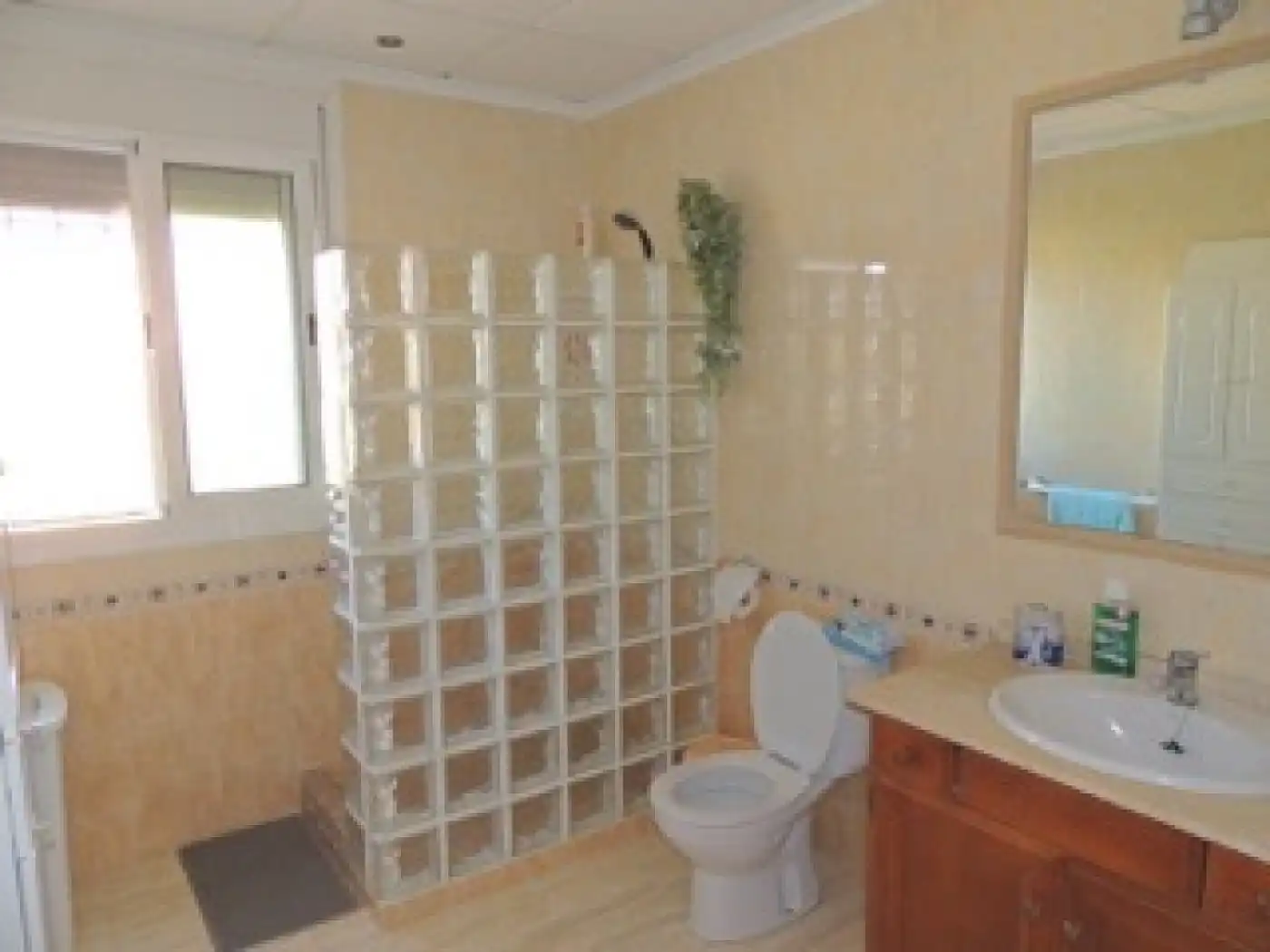 Villa con piscina in vendita a Catral, imagen 30