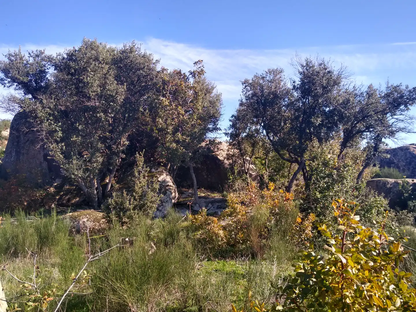 Rural land for sale in Cadalso de los Vidrios, imagen 22