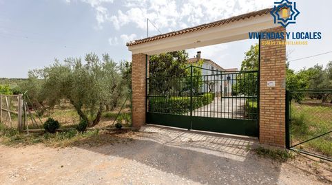 Finca en el término Los LLanos  en Moraleda de Zafayona a 20 minutos de Granada Capital, imatge 5