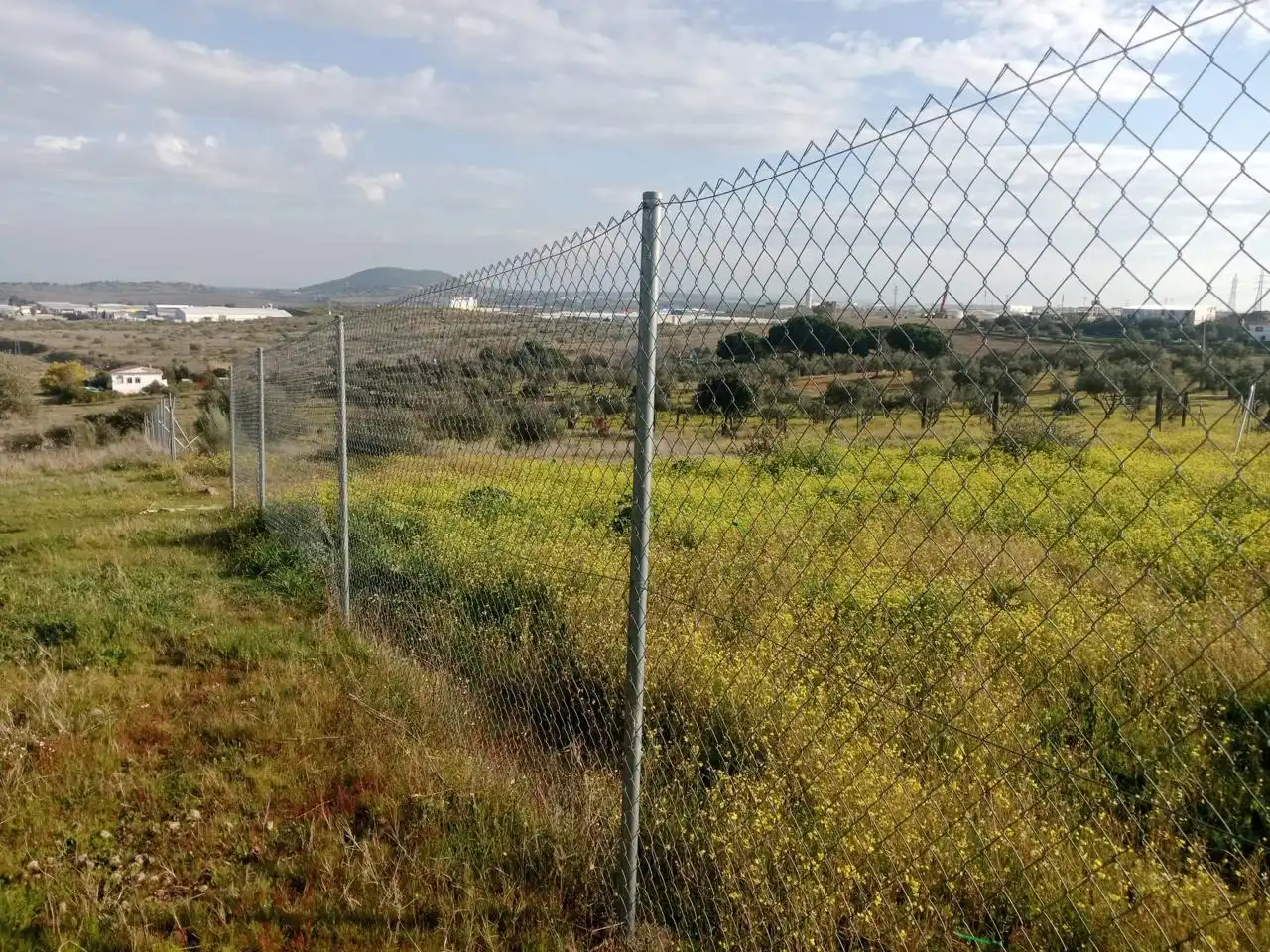 Terreni e lotti in vendita a Oeste, imagen 4