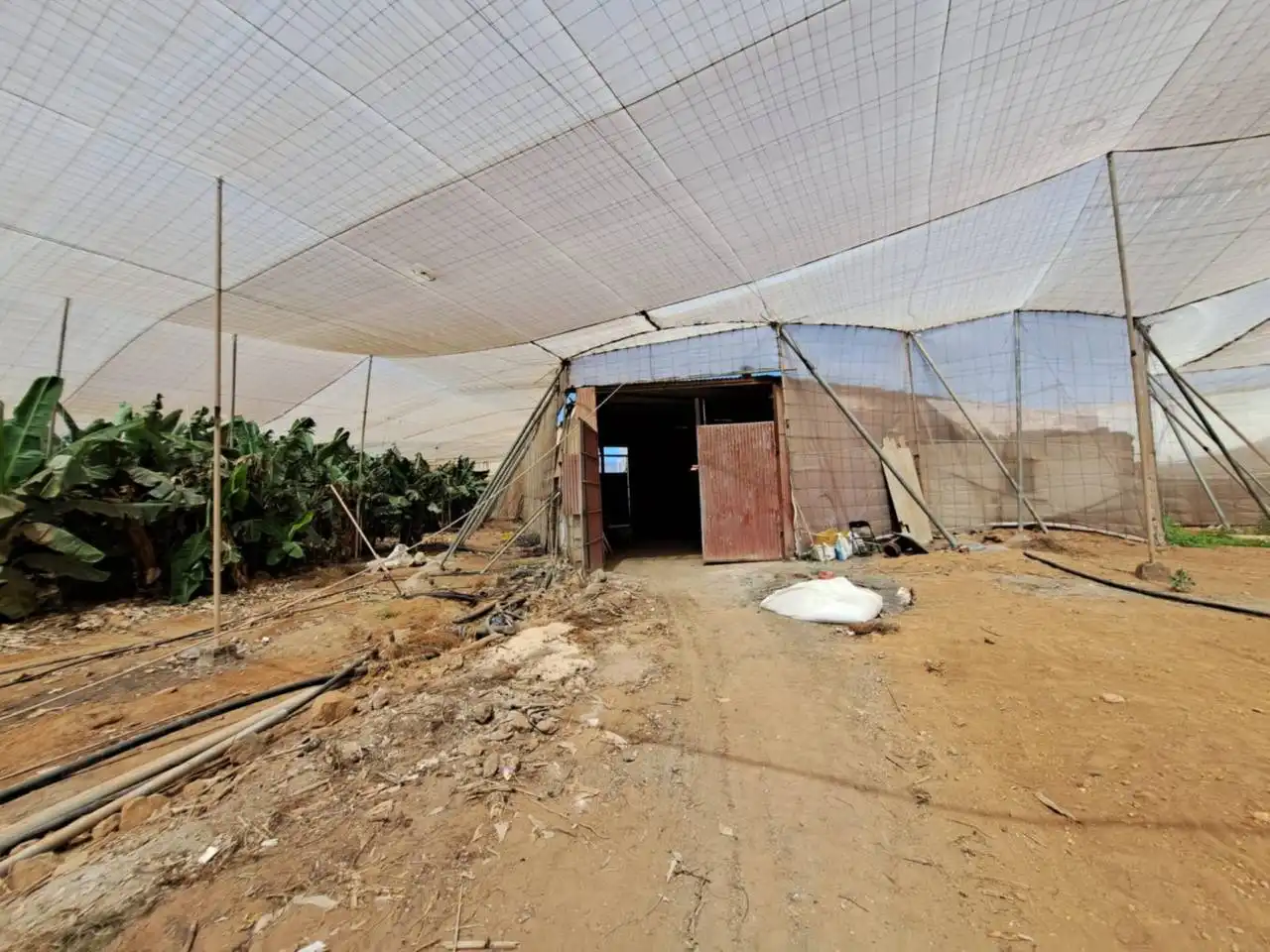 Rural land for sale in Cruce de Arinaga, imagen 6
