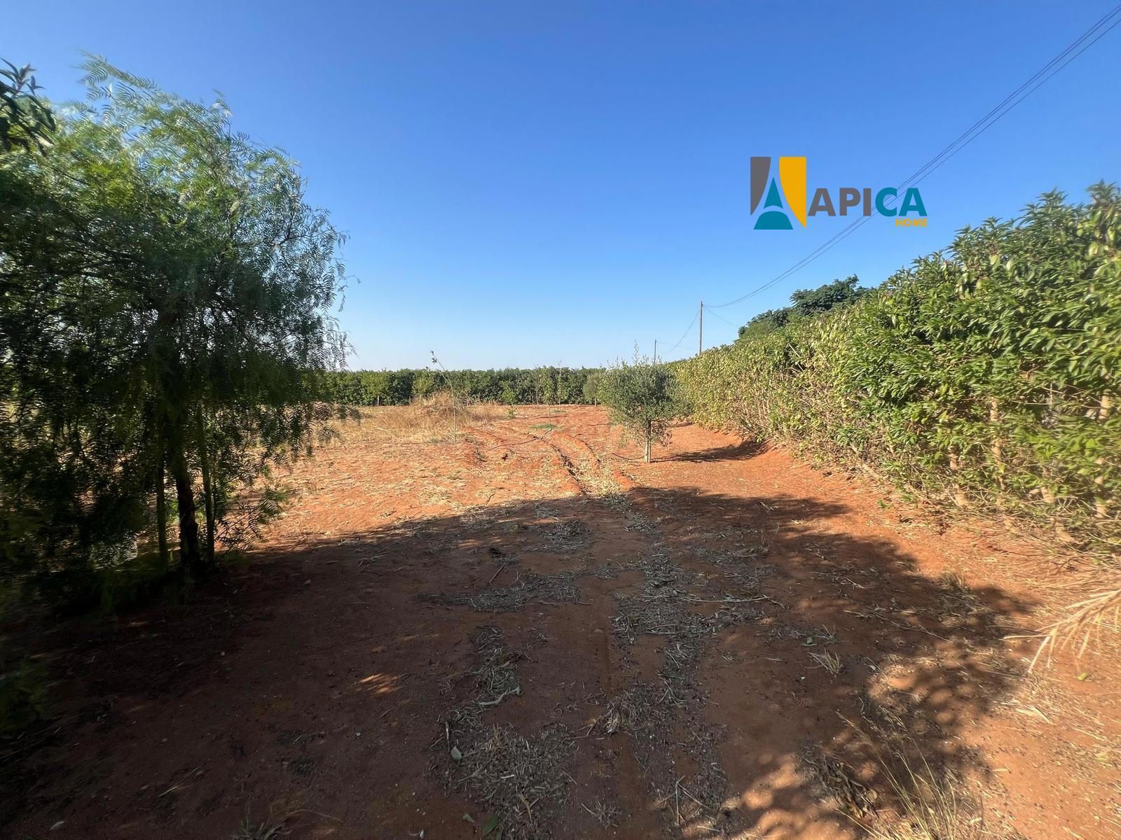 Land for sale in Conil de la Frontera