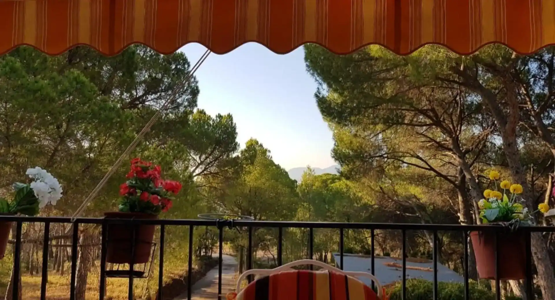 Jardí de Finca rústica en venda en Onil amb Piscina i Balcó
