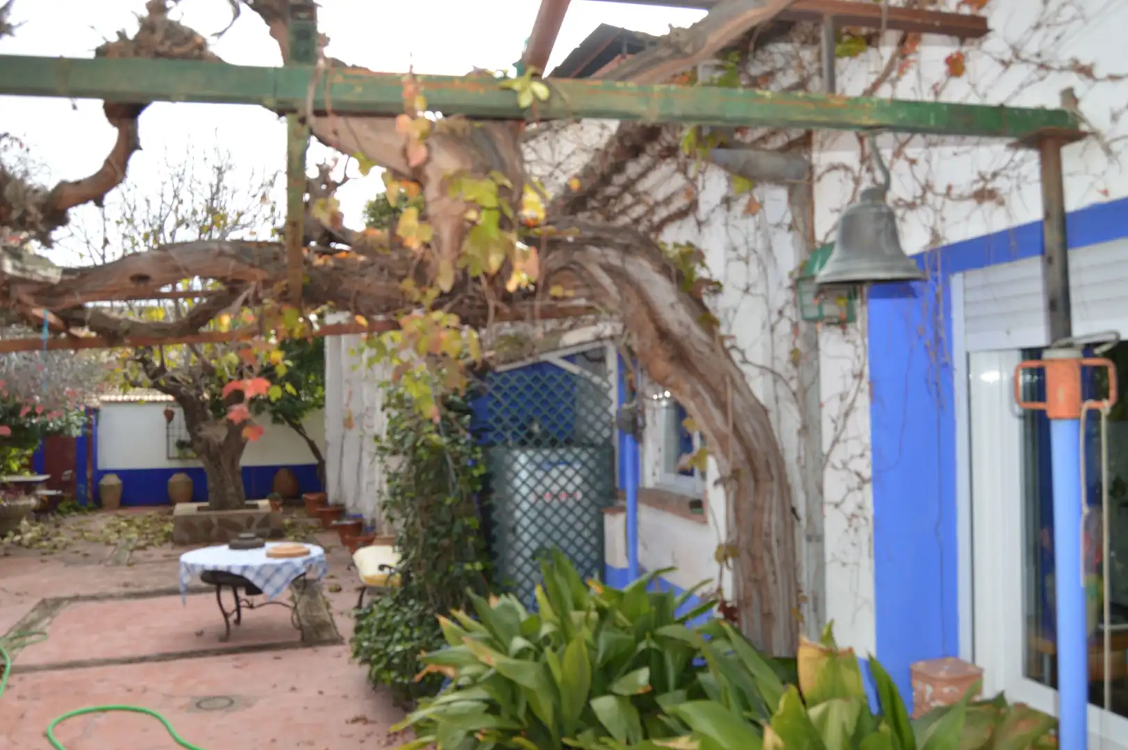 Jardí de Finca rústica en venda en Piedrabuena amb Aire condicionat, Calefacció i Terrassa