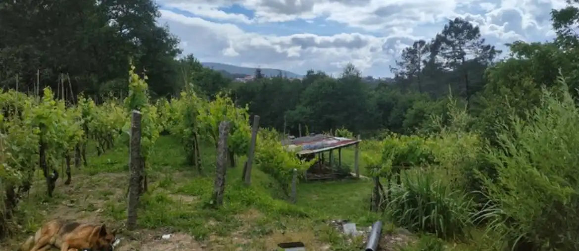 Casa con jardín en venta en PO-261, imagen 28