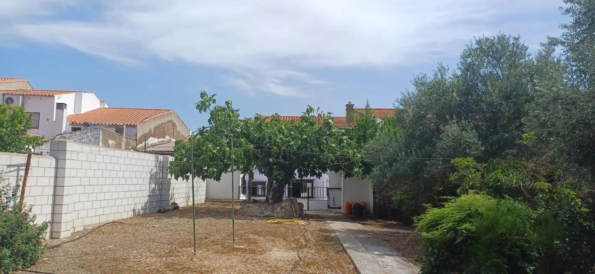 Casa o xalet en venda en Cheles amb Terrassa, Traster i Balcó