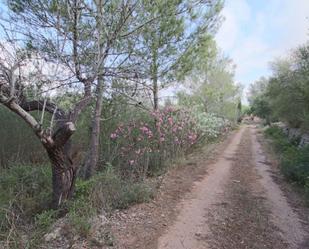 Land for sale in Llubí