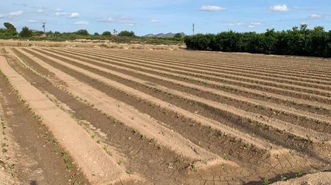 Foto 3 de Terreno en venta en Santa Cruz, Murcia