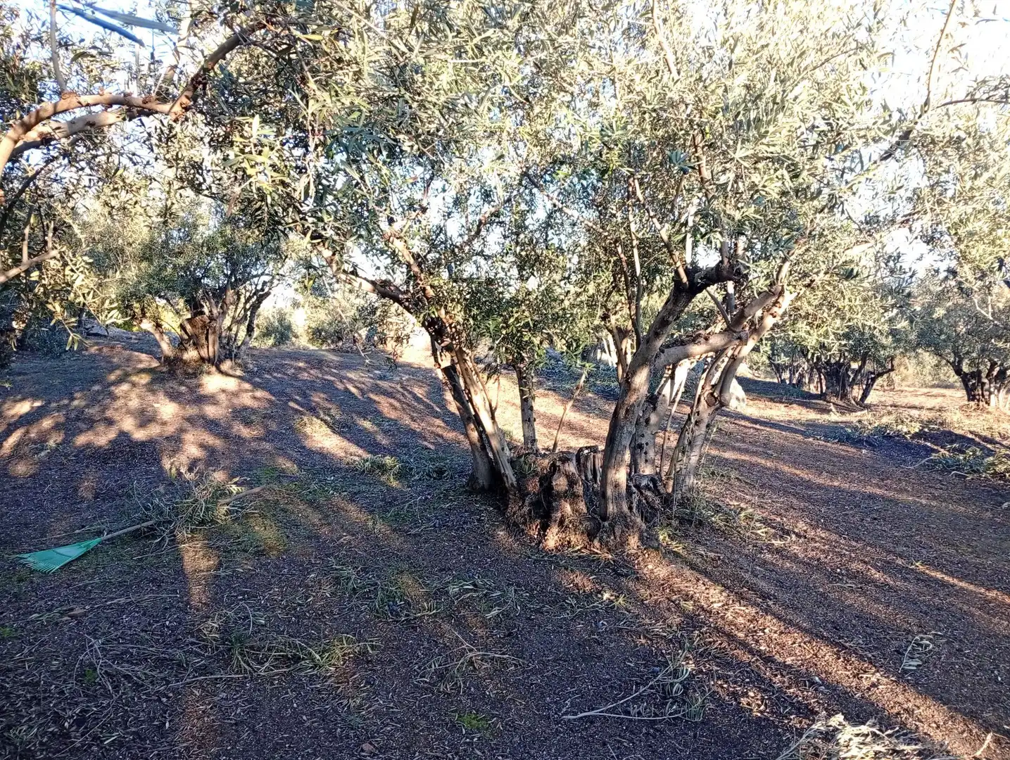 Terreni e lotti in vendita a Villanueva de la Vera, imagen 59