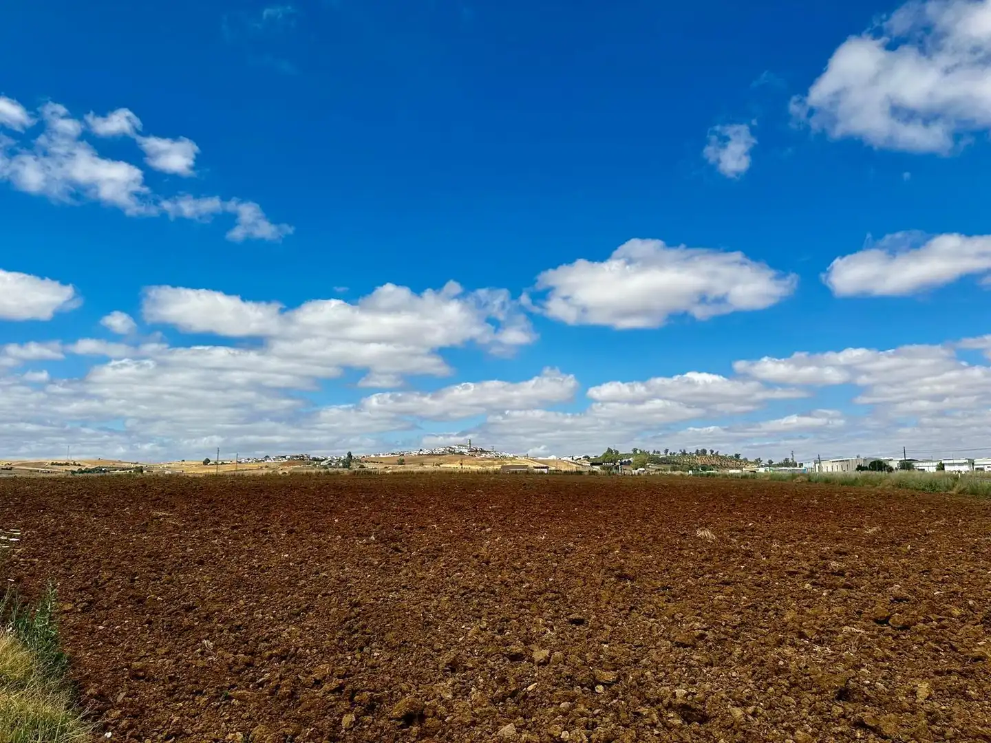 Rural land for sale in Fuente Obejuna, imagen 5