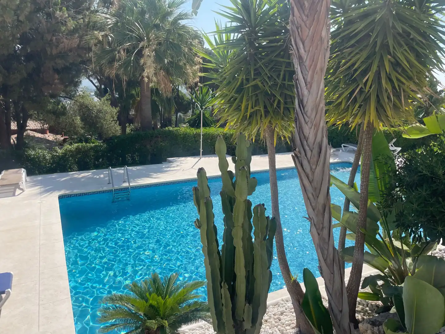 Dúplex amb piscina en venda a Marbella Centro, imagen 15