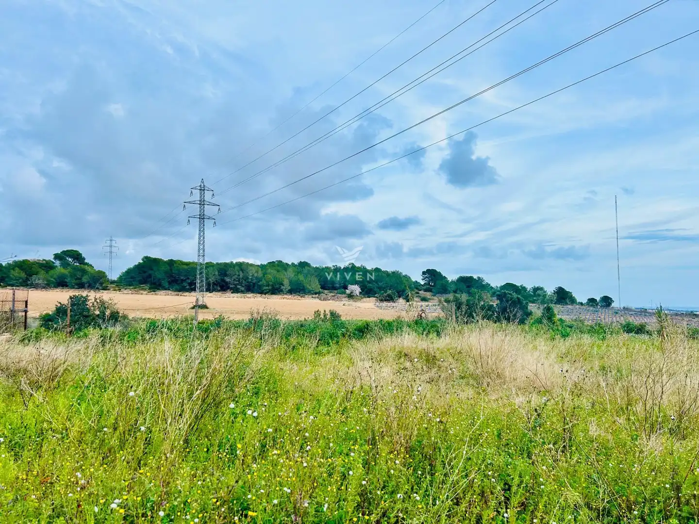 Rural land for sale in Nord, imagen 5