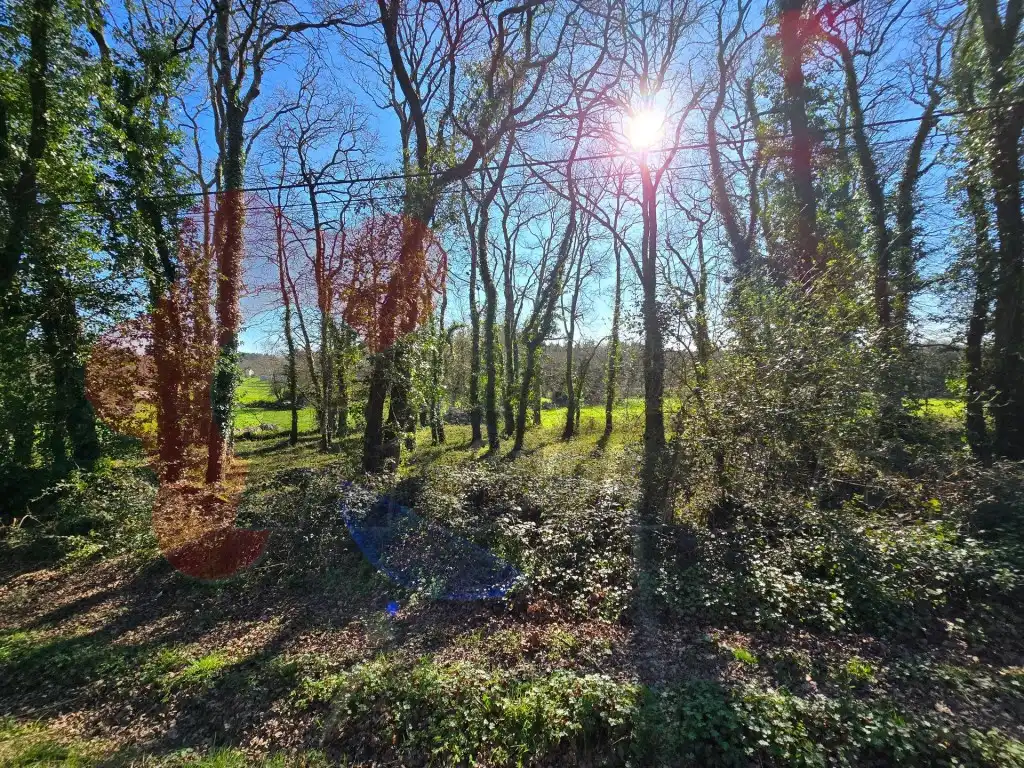 Grundstücke und Bauplätze zum Verkauf in Poligono 103 Paraje 14373 Peneliña, imagen 12