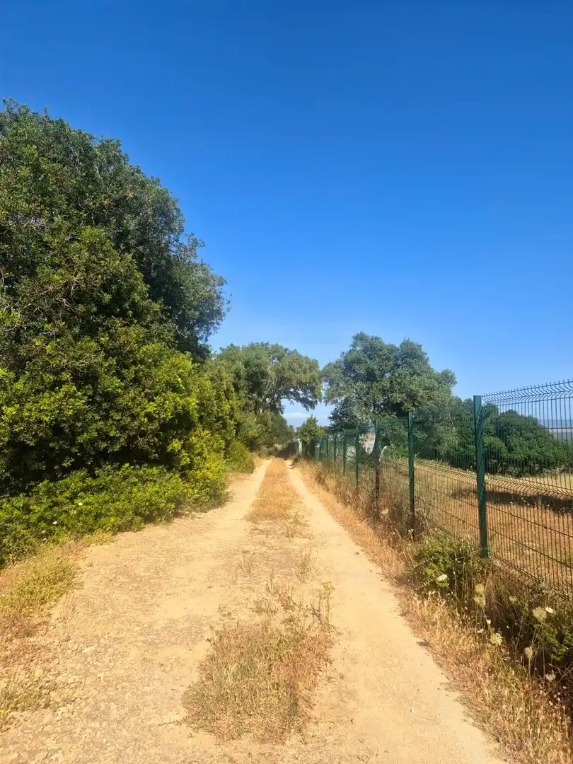 Terreni e lotti in vendita a Camino Polígono  Paraje  EL ABEJARUCO, imagen 10