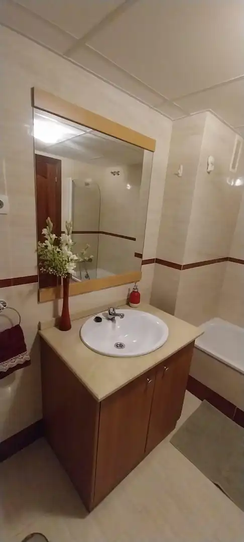 Piso con piscina en alquiler en Carretera de Cádiz, imagen 38