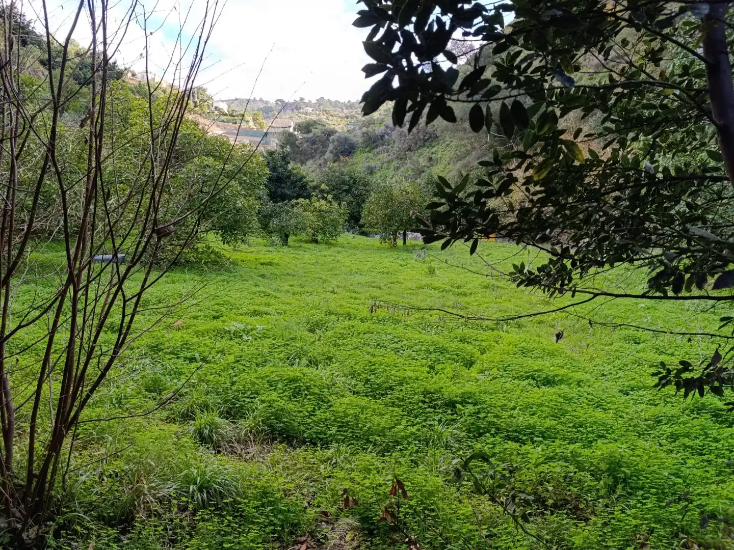 Terreno en venta en Nerja