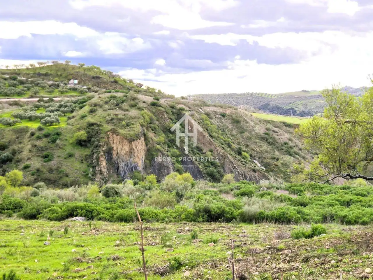 Terreni e lotti in vendita a Camino Cañuelo, imagen 14