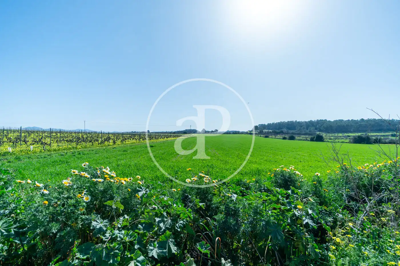 Residential for sale in Porreres