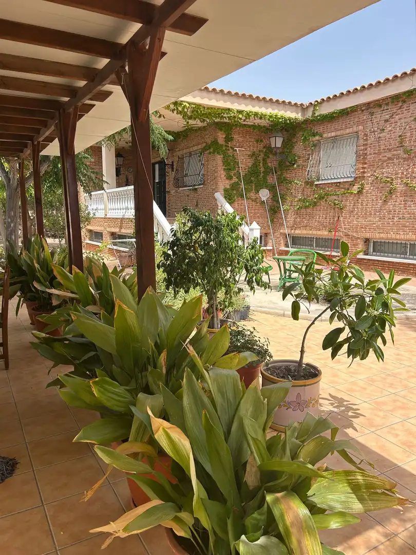 Jardí de Casa o xalet en venda en San Vicente del Raspeig / Sant Vicent del Raspeig amb Aire condicionat, Calefacció i Jardí privat