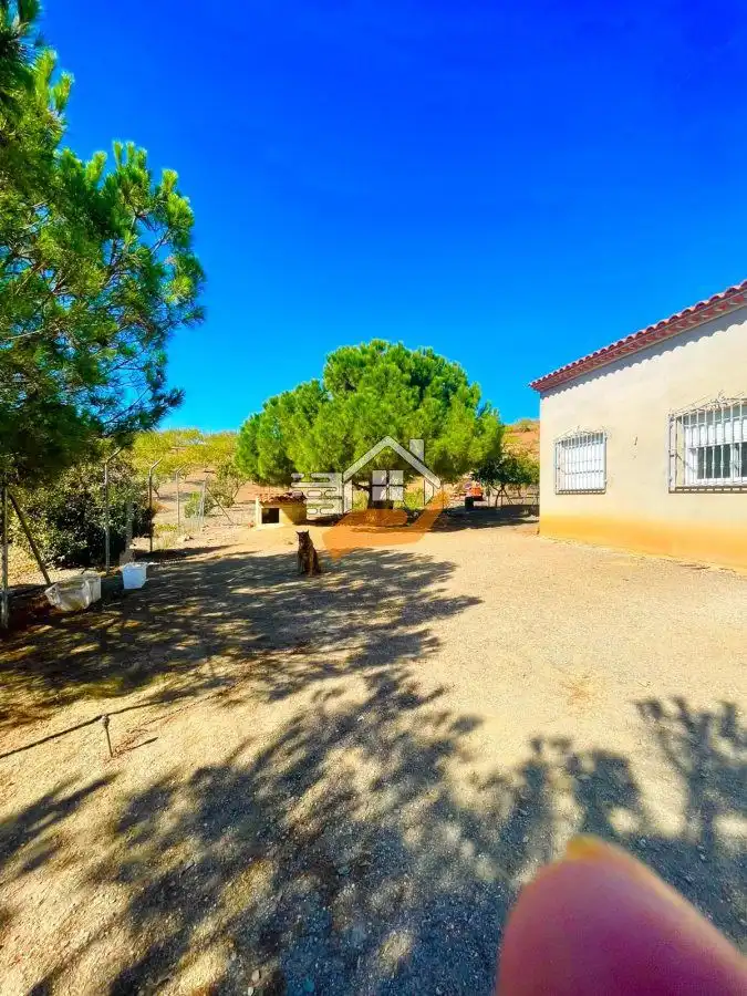 Vista exterior de Finca rústica en venta en Lorca