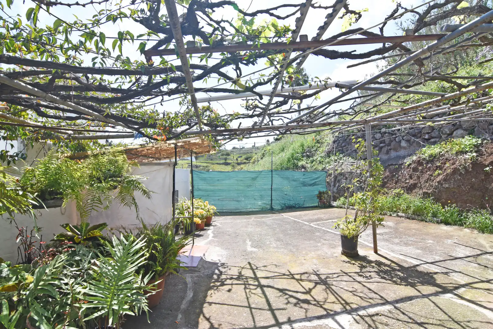 Terraza de Casa o chalet en venta en Firgas con Jardín privado, Terraza y Trastero