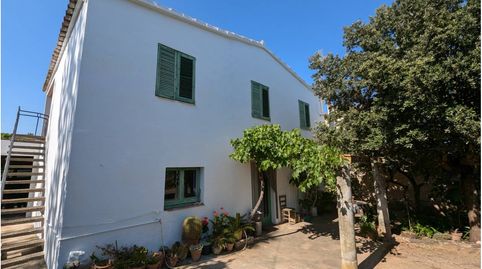 Casa a 4 vientos con amplio terreno con viñedo y pozo