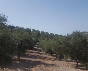 Residential for sale in Huesa