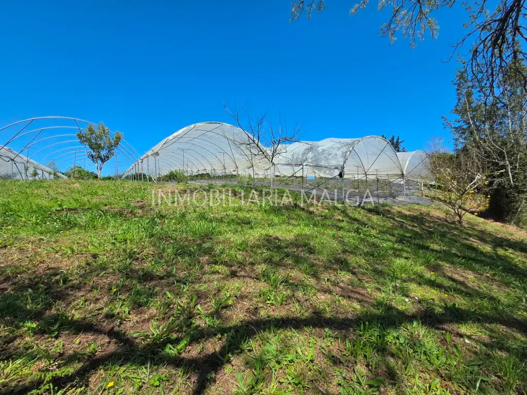 Casa o xalet en venda en Colunga amb Calefacció, Jardí privat i Parquet