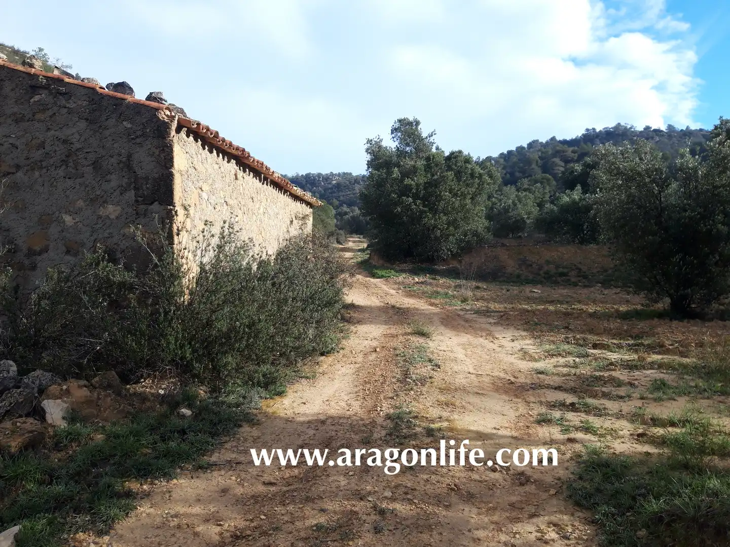 Finca rústica en venta en Batea