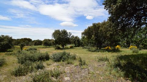 Foto 4 de Residencial de lloguer a De Los Sauces, Maello, Ávila