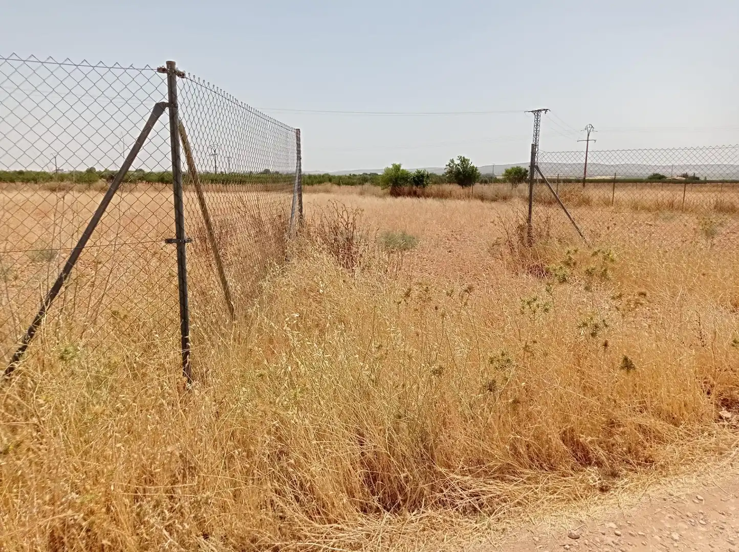 Terreno rustico in vendita a Pozuelo de Calatrava, imagen 8